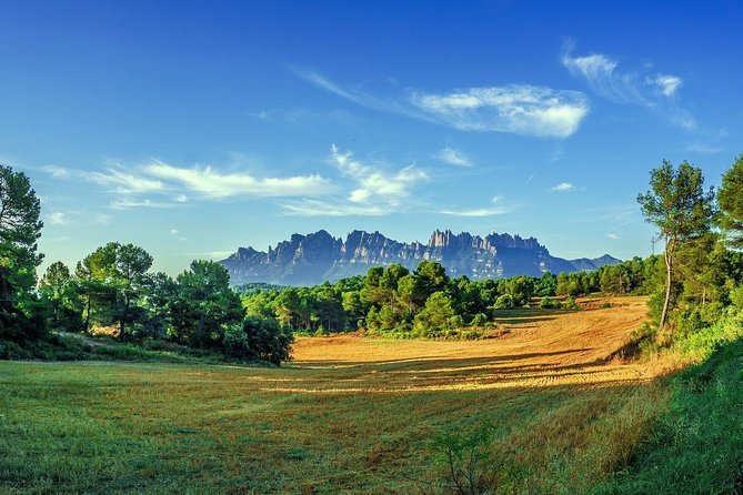 Montserrat Monastery Small Group or Private Tour Hotel pick-up - Hotel pickup and the eight-person van
