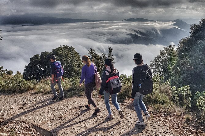 Montserrat Nature Experience, Monastery and Museum - Wildlife and the quieter side of the mountain