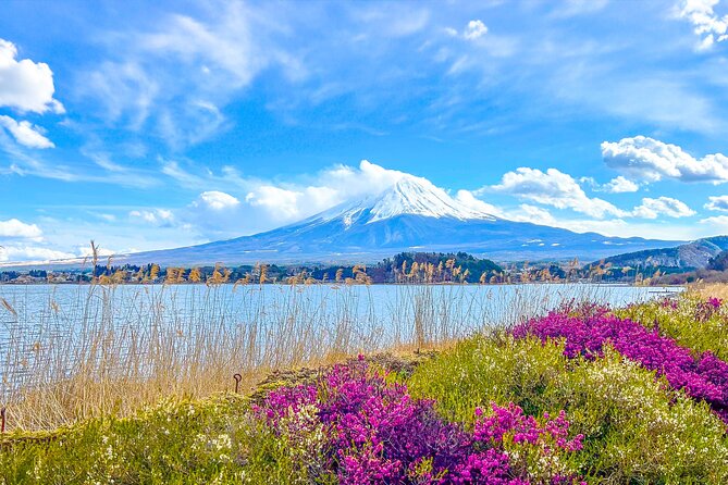 Mount Fuji, Kamakura, Big Buddha, & Lake Ashi Day Trip - Lake Ashi and the short pirate ship cruise
