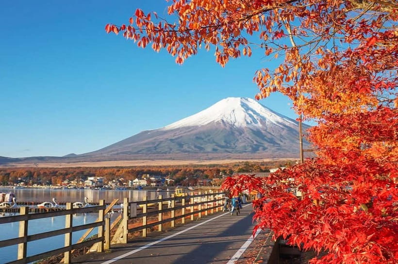 Mt Fuji Hakone/Enoshima Tour:Optional Ropeway/Lake Ashi Boat - Why this day trip works for first-time visitors