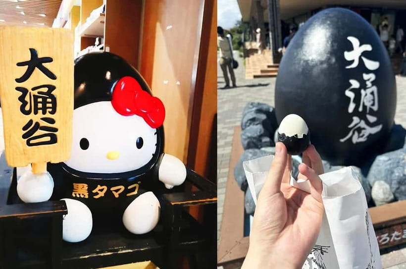 Mt Fuji Hakone/Enoshima Tour:Optional Ropeway/Lake Ashi Boat - The price, timing, and real value