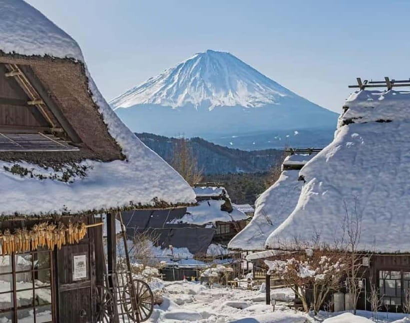 Mt. Fuji Heritage Tour: Traditional Villages, Lakes & Shrine - Lake Kawaguchi, Oishi Park, and Seasonal Timing