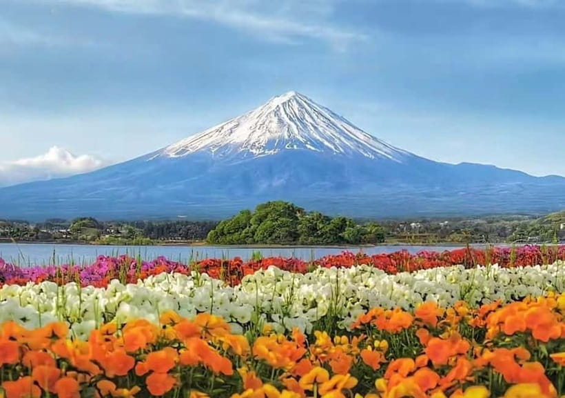 Mt. Fuji Heritage Tour: Traditional Villages, Lakes & Shrine - Arakurayama Sengen Park and the Chureito Pagoda Climb