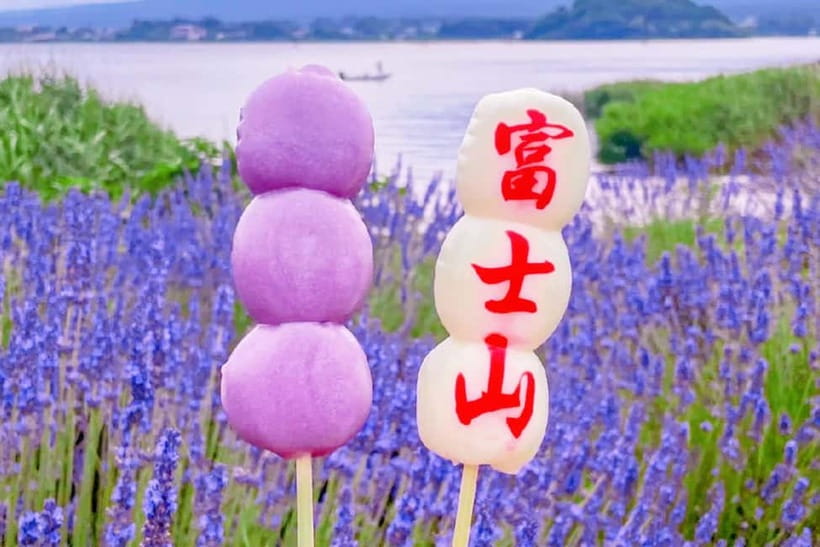 Mt. Fuji Heritage Tour: Traditional Villages, Lakes & Shrine - Lunch Is Practical, Not Part of the Ticket