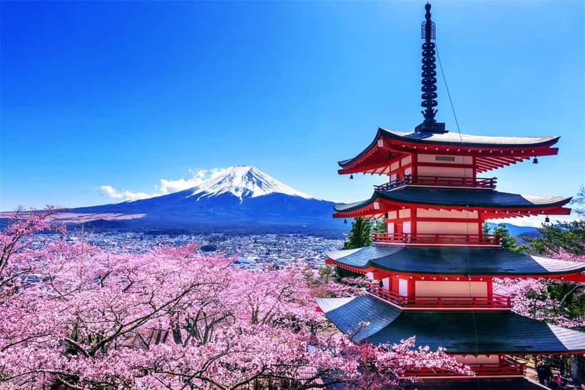 Mt. Fuji Heritage Tour: Traditional Villages, Lakes & Shrine - Who Will Like This Tour Most