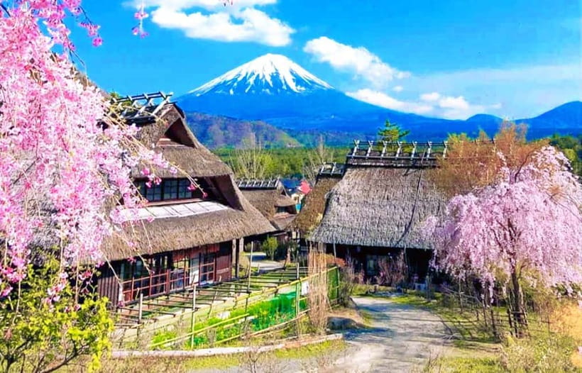 Mt. Fuji Heritage Tour: Traditional Villages, Lakes & Shrine - Saiko Iyashi no Sato Nenba and the Thatched Fuji View