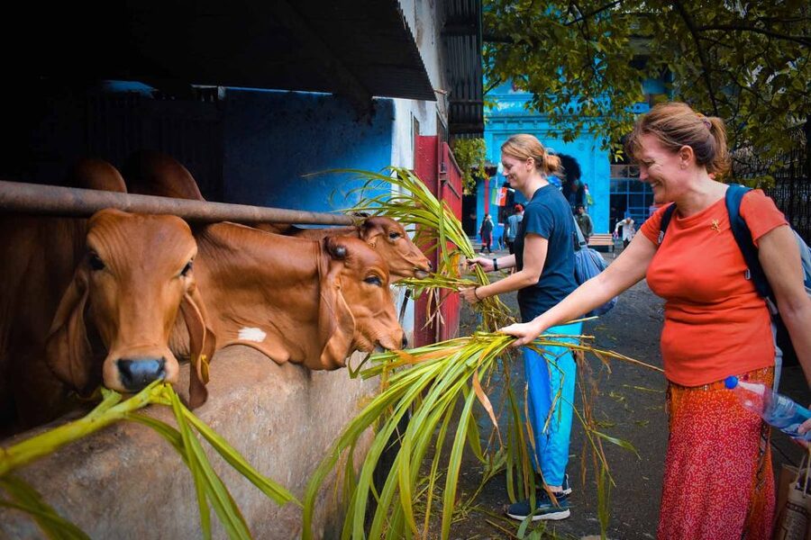 Mumbai: Local Markets & Temples Tour - Timing, cost, and who will get the most from it