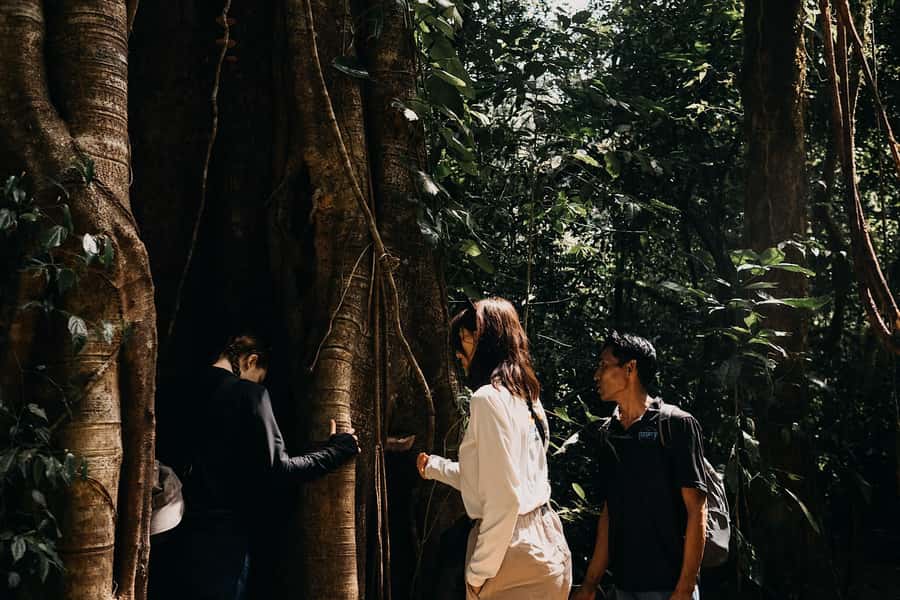 Munduk: Twin Lake Jungle Hike, Ulun Danu Temple, & Waterfall - Bencingah Temple and the rainforest route