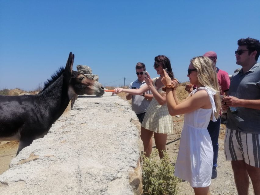 Mykonos: Highlights Tour with Panagia Tourliani Monastery - Why this half-day Mykonos tour works well