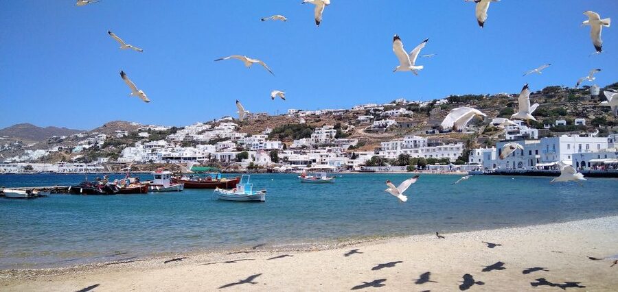 Mykonos: Highlights Tour with Panagia Tourliani Monastery - Agrari Beach, with room to slow down