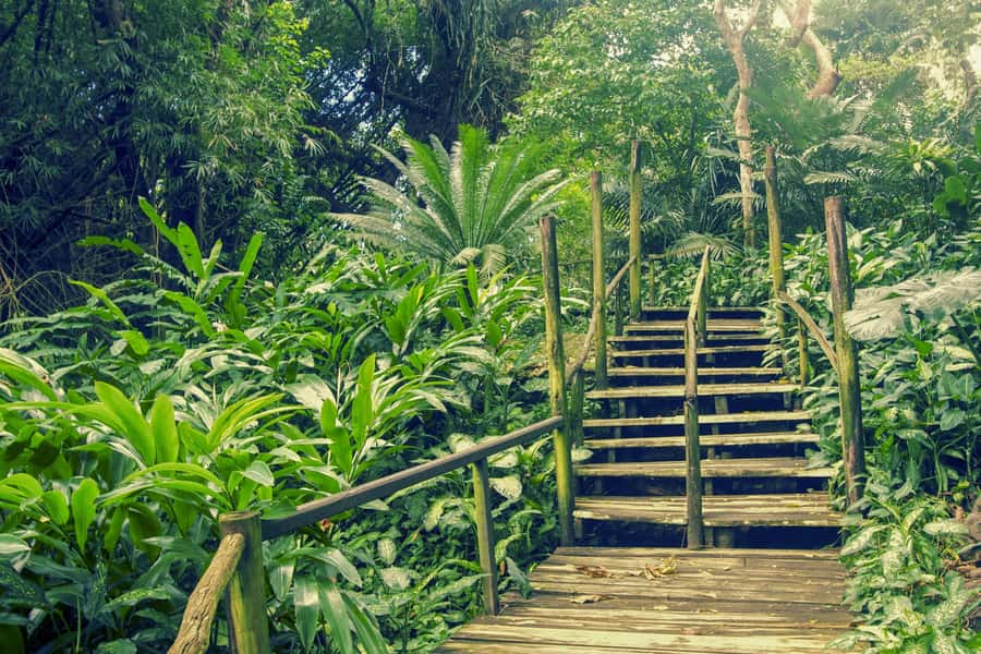 Nadi: Garden Village Hot Spring & Temple Highlights Tour - Key points to know before booking