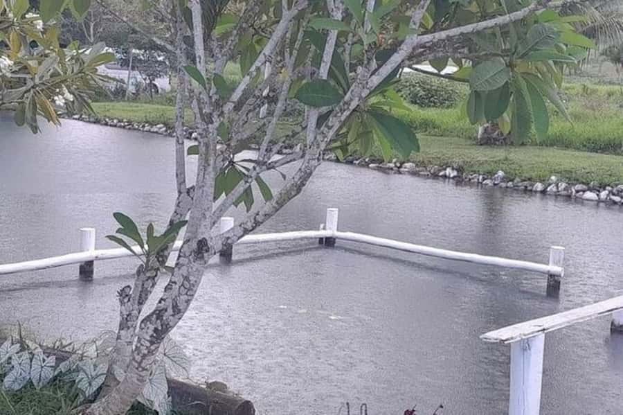 Nadi: Garden Village Hot Spring & Temple Highlights Tour - Finishing at Sabeto Hot Springs and Mud Pool