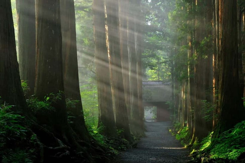 Nagano: Snow Monkeys & Togakushi Shrine Two-Spot in-One Day - Guides make the day feel personal