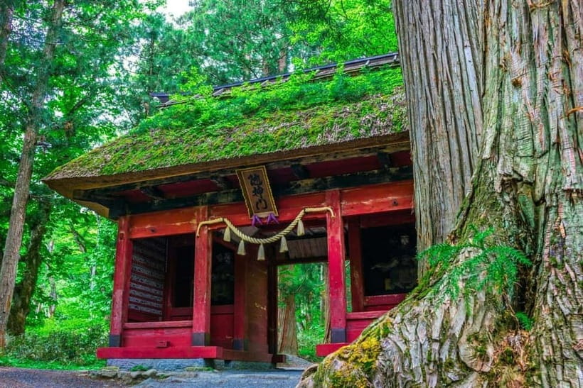 Nagano: Snow Monkeys & Togakushi Shrine Two-Spot in-One Day - Price, inclusions, and what you still pay