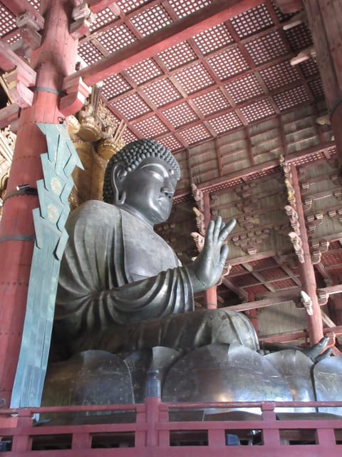 NARA: Budda gigante, Cervi liberi nel parco (Guida italiana) - Dal treno al parco: altri 15 minuti in autobus