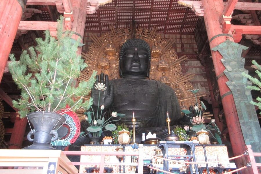 NARA: Budda gigante, Cervi liberi nel parco (Guida italiana) - I cervi del parco di Nara