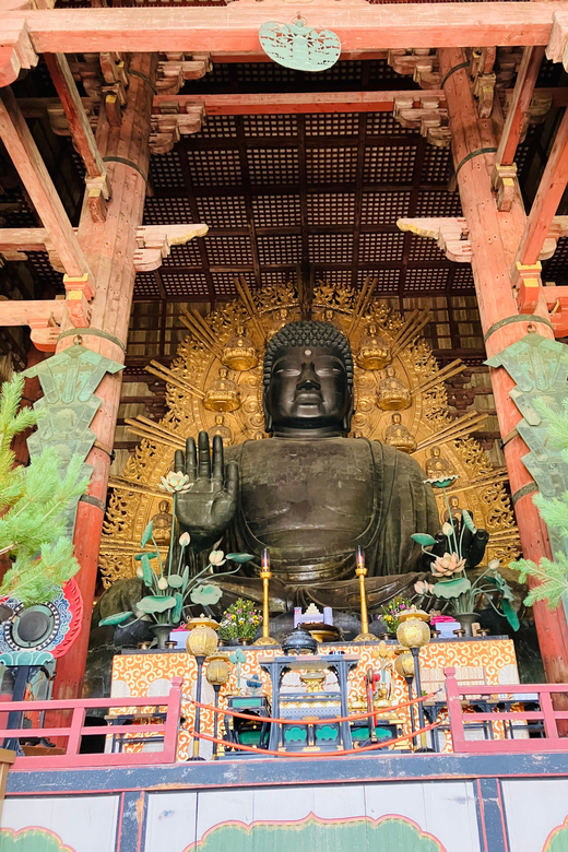 Nara: Essential Private Tour with Deer Park and Temples - What Masa adds to the experience