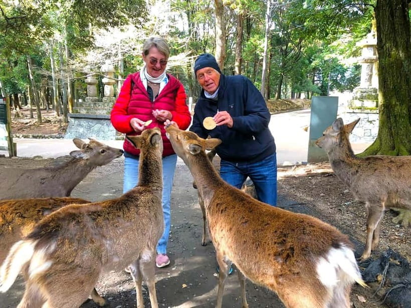 Nara: Great Buddha, Kasuga Shrine & Deer Park Tour - Key points to know before you go