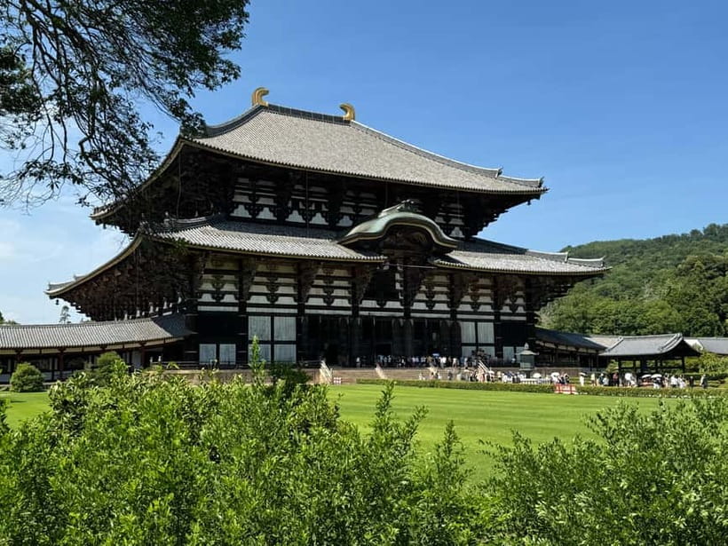 Nara: Great Buddha, Kasuga Shrine & Deer Park Tour - Is $77 a fair price?