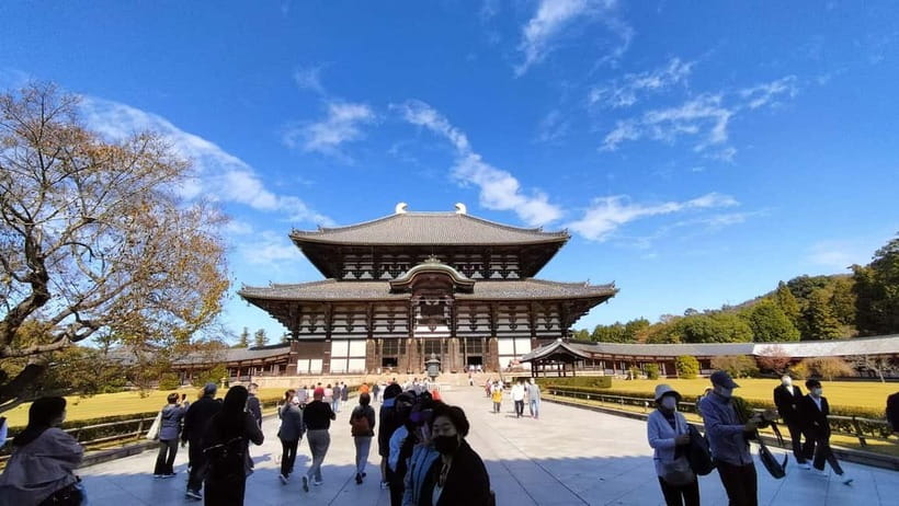 Nara: Great Buddha, Kasuga Shrine & Deer Park Tour - Should you book it?