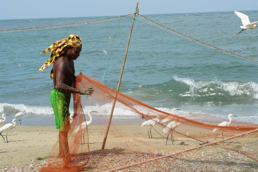 Negombo Private Tour: Market, Temples & Canal - Key points to know before booking
