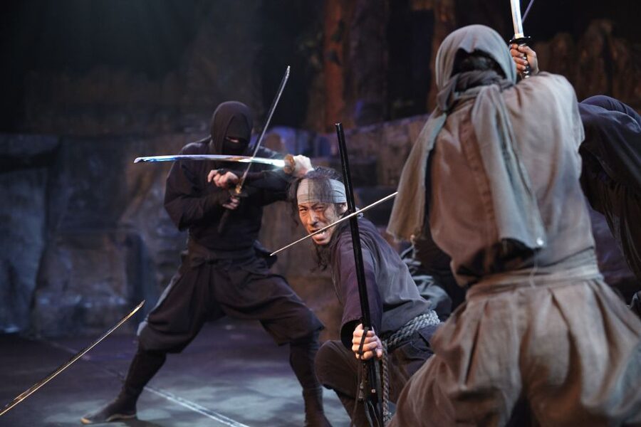 Nikko: Edo Wonderland Edomura Cultural Theme Park Ticket - The maze and ninja houses add playful variety