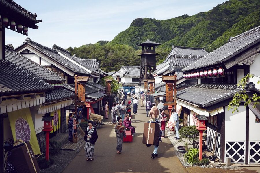Nikko: Edo Wonderland Edomura Cultural Theme Park Ticket - The ninja show is the main event