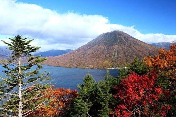 Nikko Full-Day Private Tour with Government-Licensed Guide - Transport is the main practical issue
