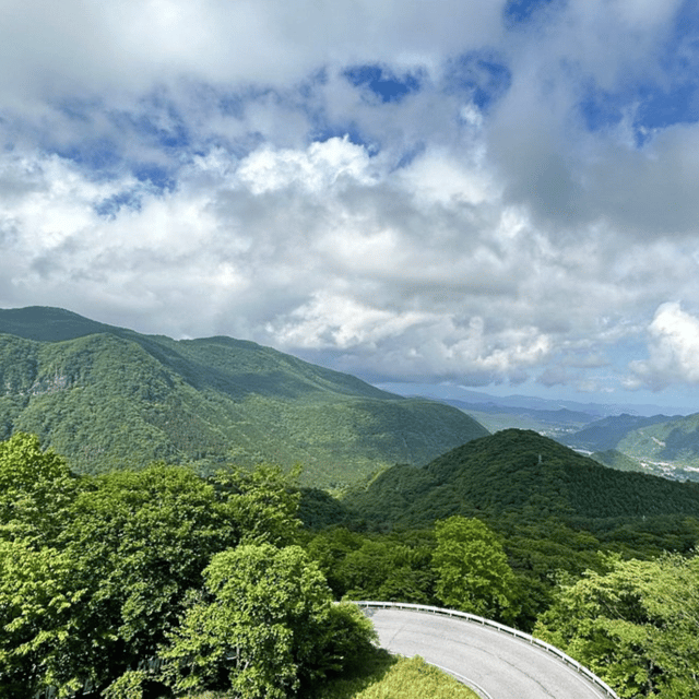 Nikko Heritage & Nature Day Trip from Tokyo - Key points to know before you book