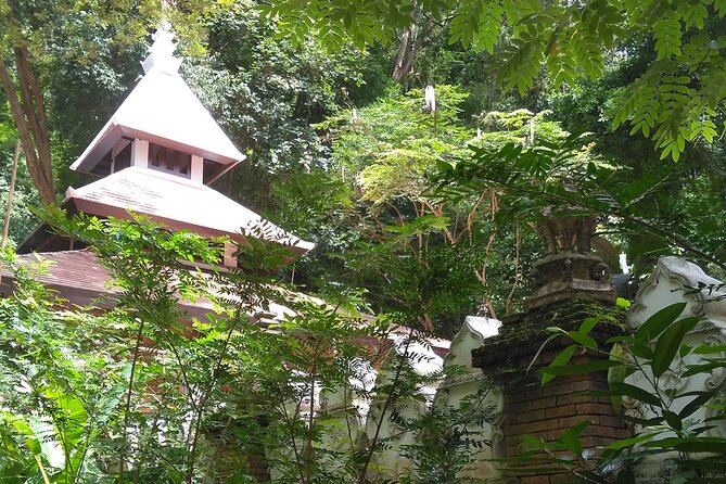 No.1 Chiang Mai: 3-Hour Monk Trail Hike to Wat Doi Suthep & Palad - Doi Suthep-Pui National Park and changing trail conditions