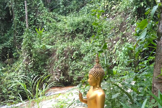 No.1 Chiang Mai: 3-Hour Monk Trail Hike to Wat Doi Suthep & Palad - How hard is the hike?