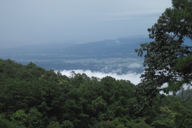 No.1 Chiang Mai: Advanced XC Downhill Biking, Doi Suthep N. Park - Forest coffee and a closer look at the route