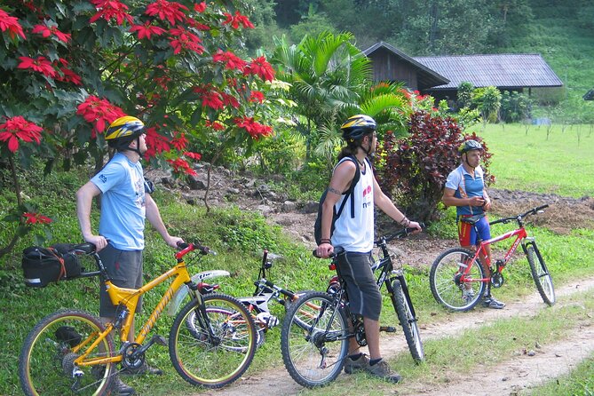 No.1 Chiang Mai: Advanced XC Downhill Biking, Doi Suthep N. Park - Views, trees, and changing altitude