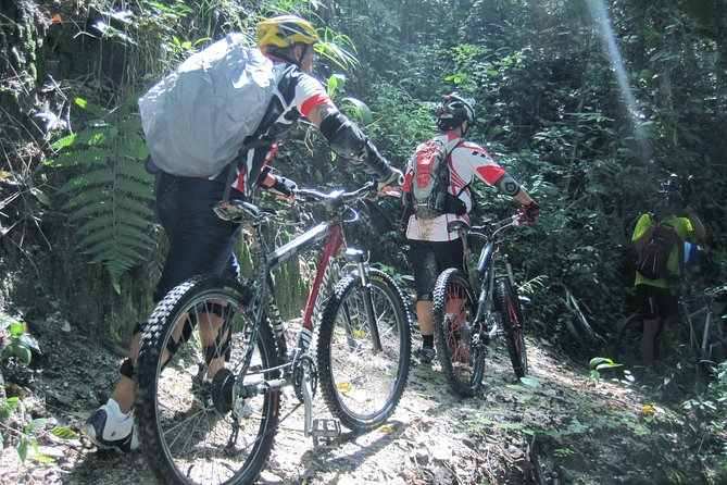 No.1 Chiang Mai: Advanced XC Downhill Biking, Doi Suthep N. Park - Safety equipment and guide support