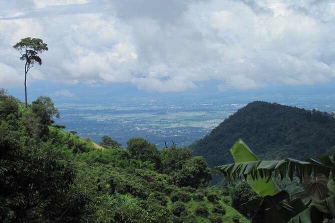 No.1 Chiang Mai: Advanced XC Downhill Biking, Doi Suthep N. Park - Lunch at Lake Huay Tueng Tao