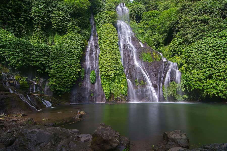North Bali: Banyumala Waterfall and Ulun Danu Beratan Temple - Kayu Putih’s giant tree on the way back