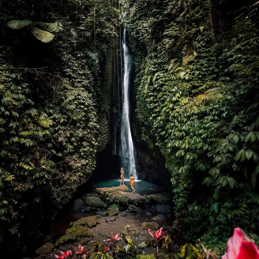 North Bali: Monkey Forest -Waterfall- Rice Terrace-Ulun Danu - A full day from monkeys to mountain temples