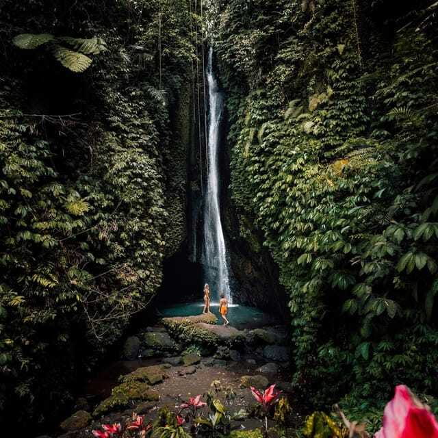 North Bali: Monkey Forest -Waterfall- Rice Terrace-Ulun Danu - Who will enjoy this private Bali day