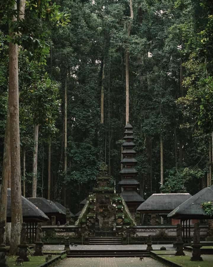 North Bali: Monkey Forest -Waterfall- Rice Terrace-Ulun Danu - Should you book this North Bali tour?