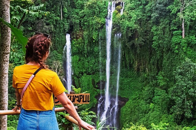 North Bali: Sekumpul Waterfalls and Ulun Danu Temple Tour - Taman Ayun, the final cultural stop