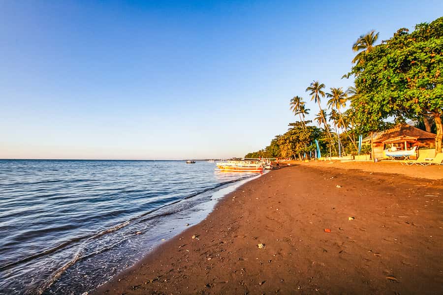 North Bali: Sunrise Tour with Dolphins, Waterfalls & Temples - How the guides affect the experience