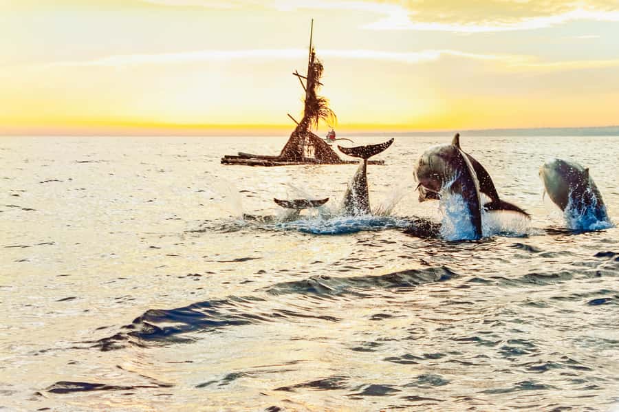 North Bali: Sunrise Tour with Dolphins, Waterfalls & Temples - Is $55 a fair price?