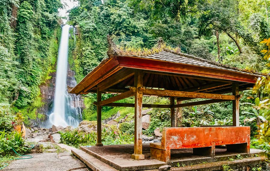 North Bali: Sunrise Tour with Dolphins, Waterfalls & Temples - Practical advice for a smoother day