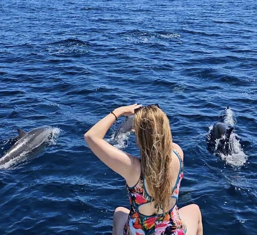North Bali: Sunrise Tour with Dolphins, Waterfalls & Temples - What the long drive means for your day