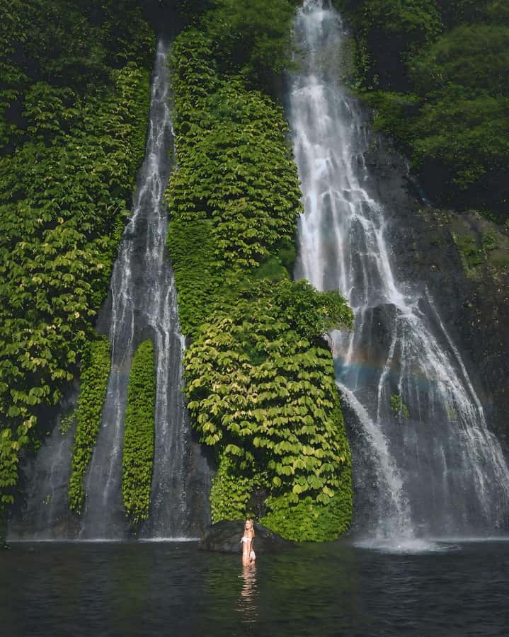 North Bali: Ulun Danu, Waterfalls, Swing and Monkey Forest - What the $35 price really covers