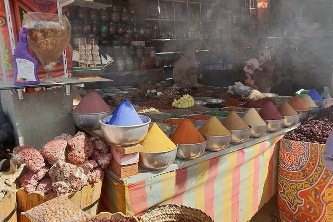 Nubian Village and Philae Temple Private Guided Tour From Aswan - Timing, pickup, and simple preparation