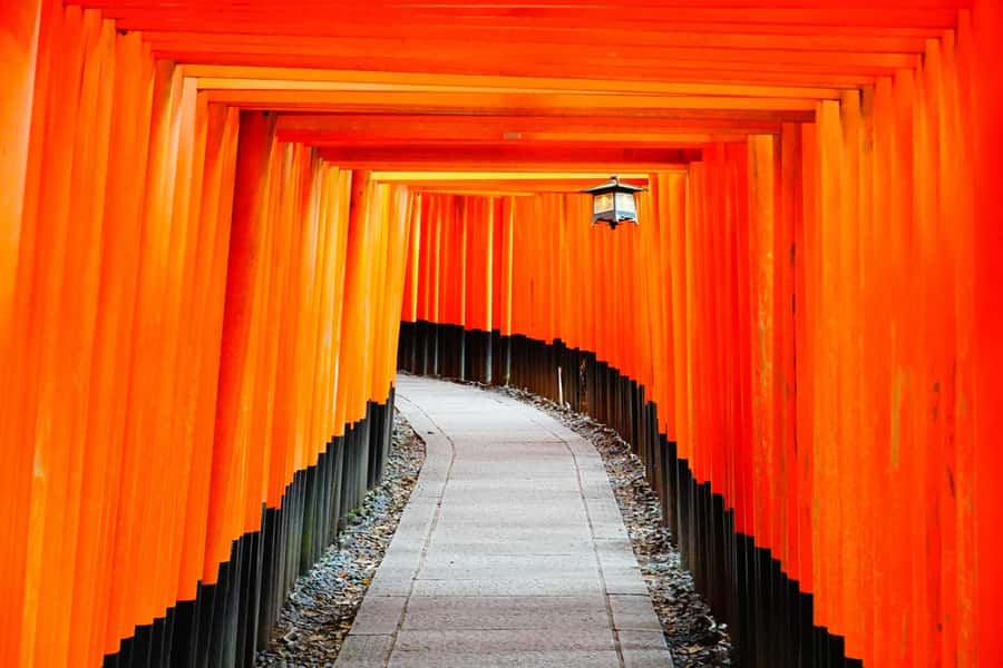 Osaka/Kyoto: Arashiyama, Nara & Fushimi Inari Shrine w/Lunch - What this Osaka and Kyoto day trip really offers
