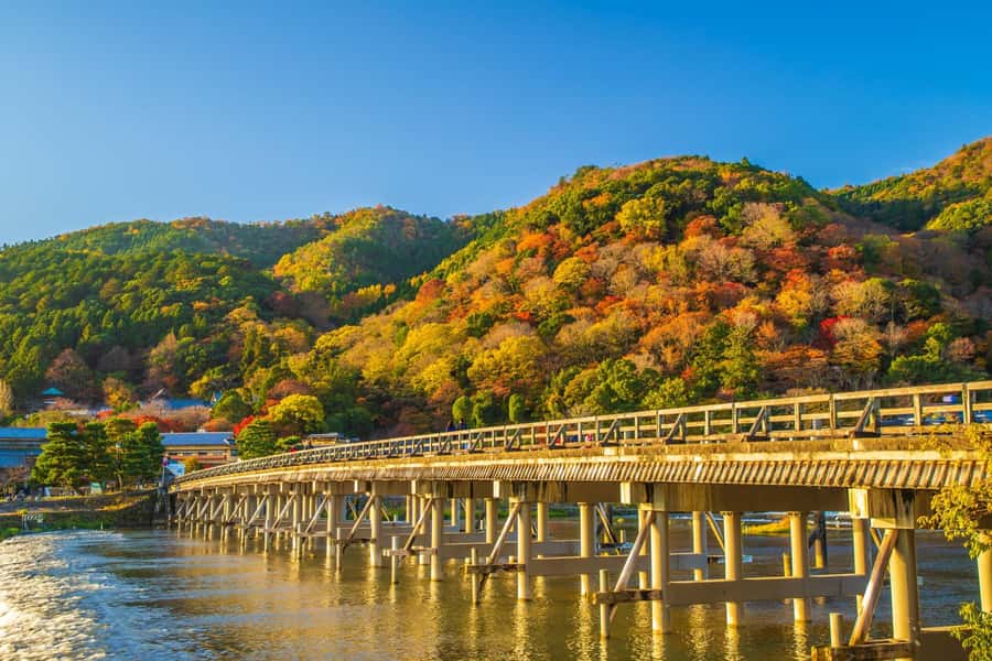 Osaka/Kyoto: Arashiyama, Nara & Fushimi Inari Shrine w/Lunch - Nara Park and the deer