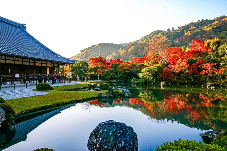 Osaka/Kyoto: Arashiyama, Nara & Fushimi Inari Shrine w/Lunch - Is $61 a good value?