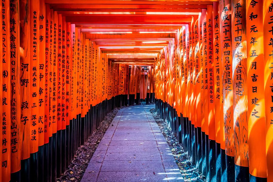 Osaka/Kyoto: Arashiyama, Nara Park, Fushimi Shrine Tour - Starting in Arashiyama before the crowds build
